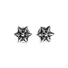 Utskuren Star-örhängen Utskuren Star-örhängen